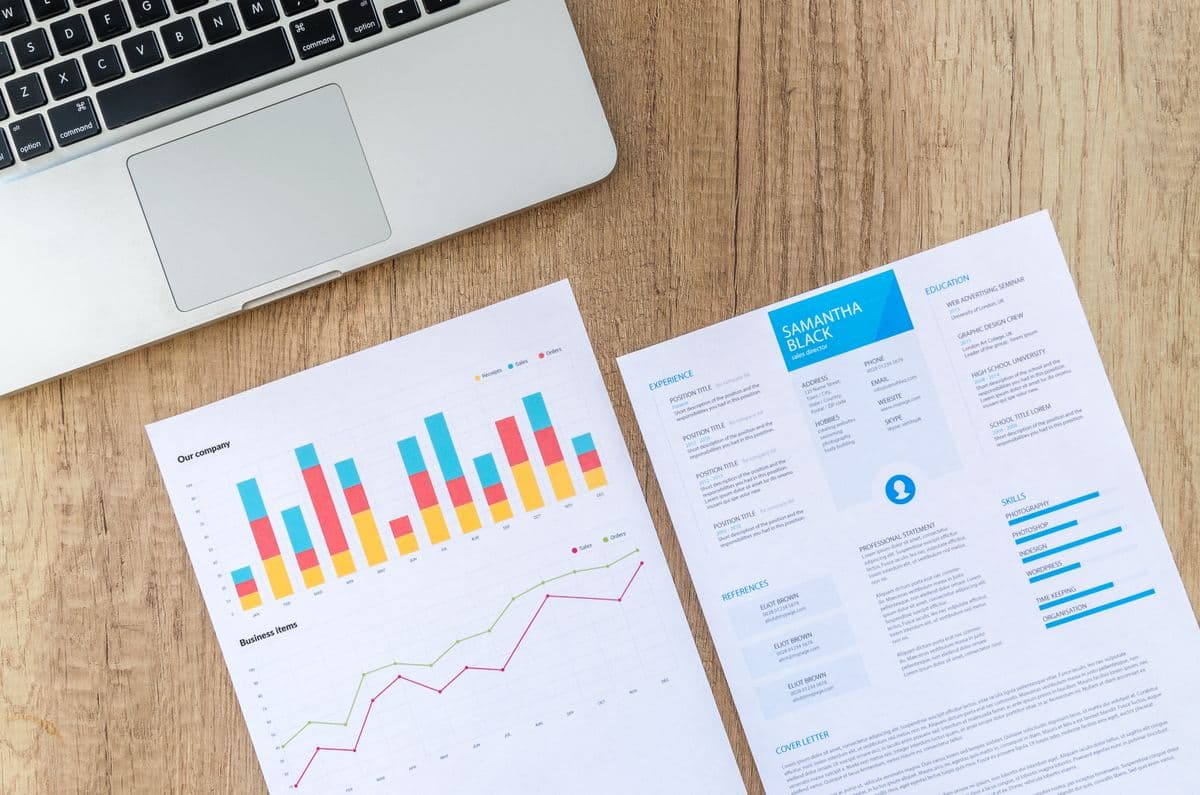Printed charts and resume document preview